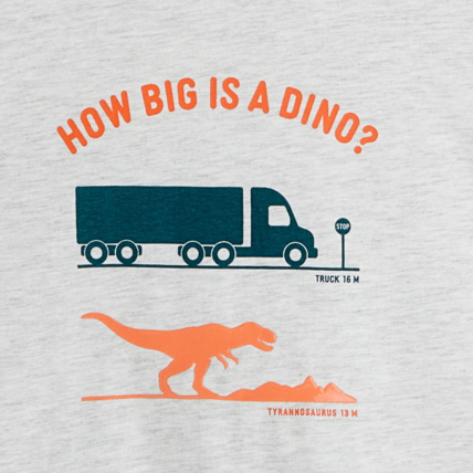 Avis T-shirt à message "How big is a dino" blanc garçon OKAIDI 2