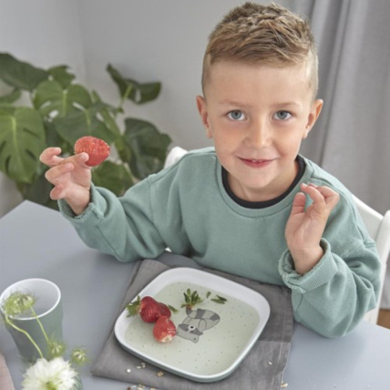 Avis Coffret repas Raton Laveur LÄSSIG 3