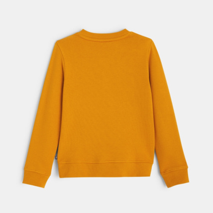 Avis Sweat-shirt motif caribou jaune garçon OKAIDI 4