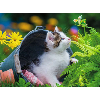 Avis Puzzle Petit chaton curieux - de 8 ans RAVENSBURGER 2