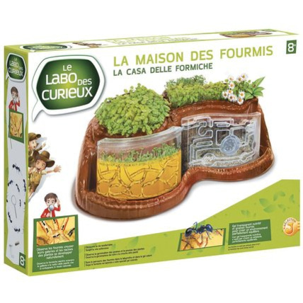 Avis Jeu éducatif La maison des fourmis  LE LABO DES CURIEUX 1