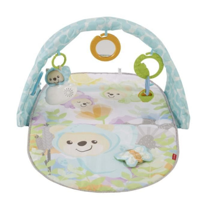 Avis Tapis d'éveil Doux Rêves Papillon  Fisher-Price 1
