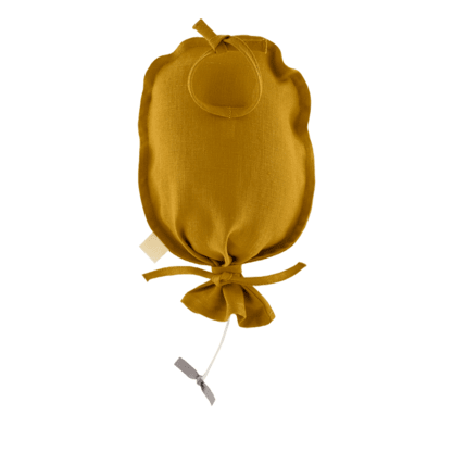 Avis Lucien le ballon musicien Petit Picotin 3