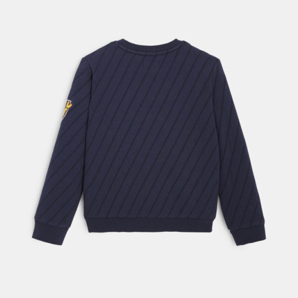 Avis Sweat-shirt col rond à effet rayé bleu garçon OKAIDI 4