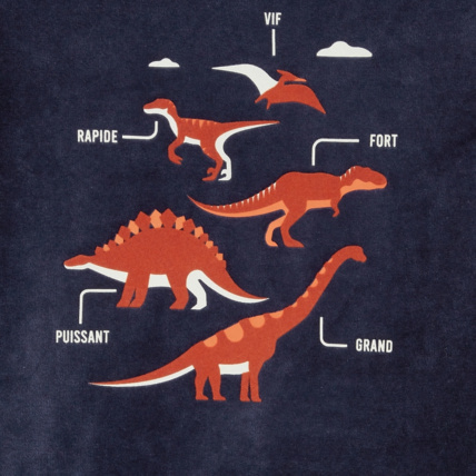 Avis Pyjama 2 pièces en velours thème dinosaure bleu garçon OKAIDI 3
