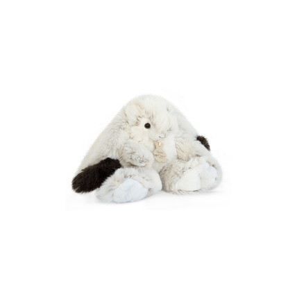 Avis Softy - Lapin Ulysse HISTOIRE D'OURS 1