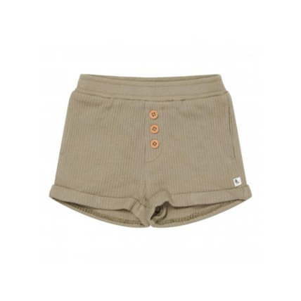 Avis Short LITTLE DUTCH 2