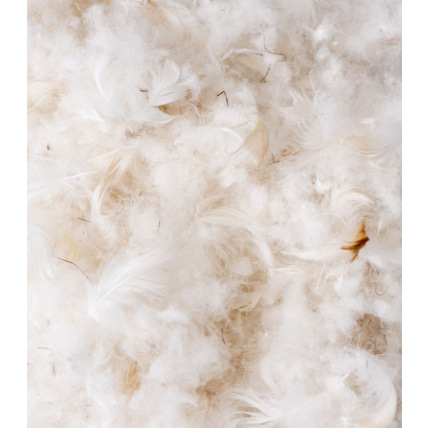 Avis Couette Moelleuse - Toute saison Tediber 4