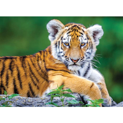 Avis Puzzle Bébé tigre - de 7 ans RAVENSBURGER 2