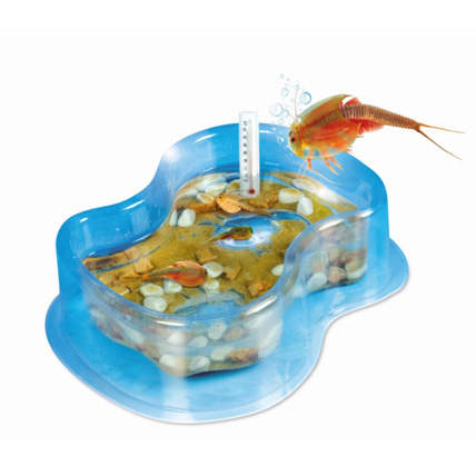 Avis Mes premiers triops Clementoni 2