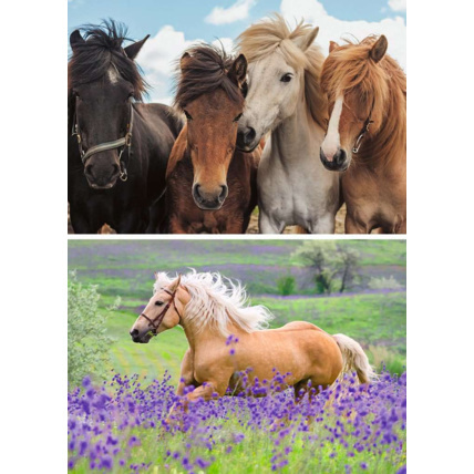 Avis Puzzle L'amour des chevaux - de 4 ans RAVENSBURGER 2