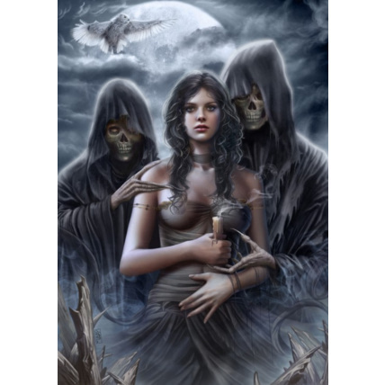Avis Puzzle Spirit of the Night GRAFIKA 1