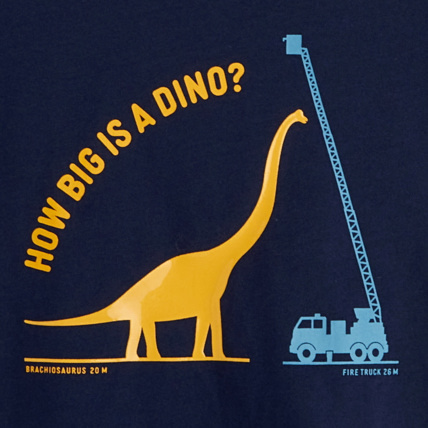 Avis T-shirt à message "How big is a dino" bleu garçon OKAIDI 2