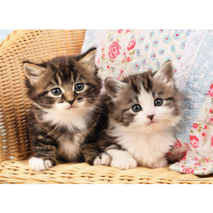 Avis Puzzle Duo de chatons - de 6 ans RAVENSBURGER 2