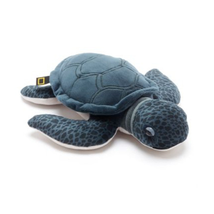 Avis Peluche Tortue verte - National Geographic DISNEY 1
