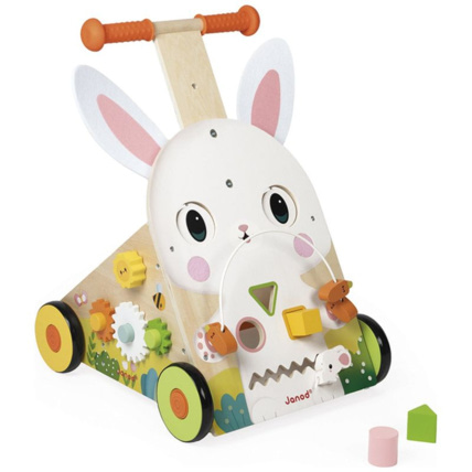 Avis Chariot de marche multi-activités Lapin Ferme JANOD 1