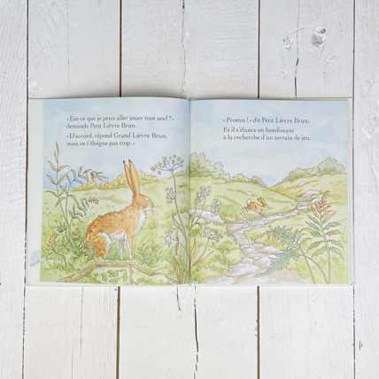 Avis Livre Veux-tu être mon ami Petit Picotin 2