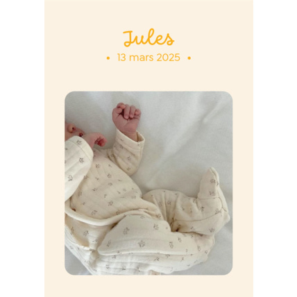 Avis Faire-Part de Naissance Personnalisable - Classique LES PETITS CITRONS 2
