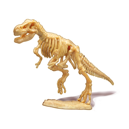 Avis Dino Dig T-Rex Buki France 2