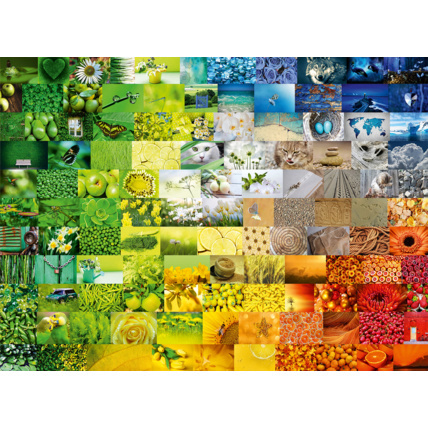 Avis Puzzle Wonderful Colours BLUEBIRD PUZZLE 1