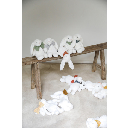 Avis Paulin le Lapin Petit Picotin 4