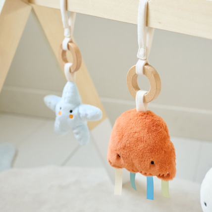 Avis Portique d'éveil bébé Mer Petite Amélie 8