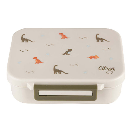 Avis Lunchbox en tritan 700ml CITRON 4