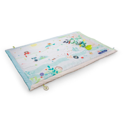 Avis Baby friends soft playmat Clementoni 1