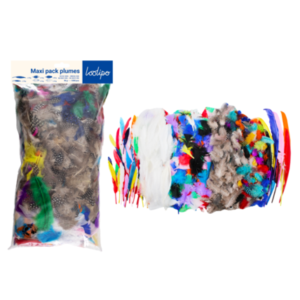 Avis Maxi Pack De Plumes - 1000 Pièces LOOLIPO 1
