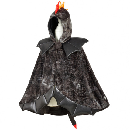 Avis Cape de dragon SOUZA 2