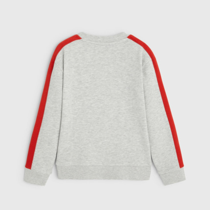 Avis Sweat-shirt à message "Free as the wind" gris garçon OKAIDI 4