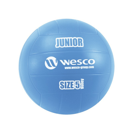 Avis Ballon de volley-ball Junior Wesco 1