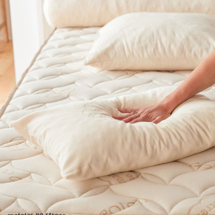 Avis Oreiller Bio ferme Matelas No Stress 4