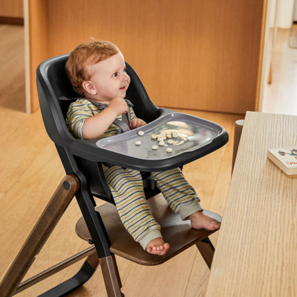 Avis Siège bébé et tablette pour Chaise Haute Evolve Ergobaby 8