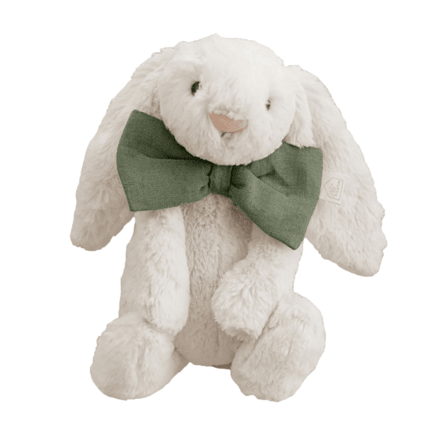 Avis Paulin le Lapin Petit Picotin 1