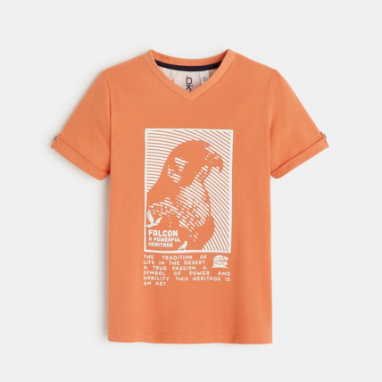 Avis T-shirt col V à motif faucon orange garçon OKAIDI 1