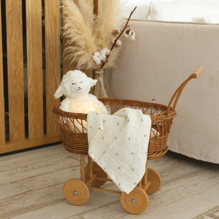 Avis Veilleuse bruits blancs Wooly Trois Kilos Sept 6
