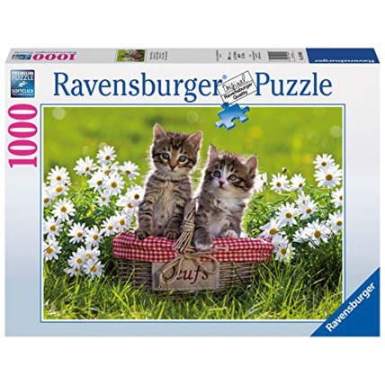 Avis Puzzle - Pique-nique au pré - 1000 pièces RAVENSBURGER 1