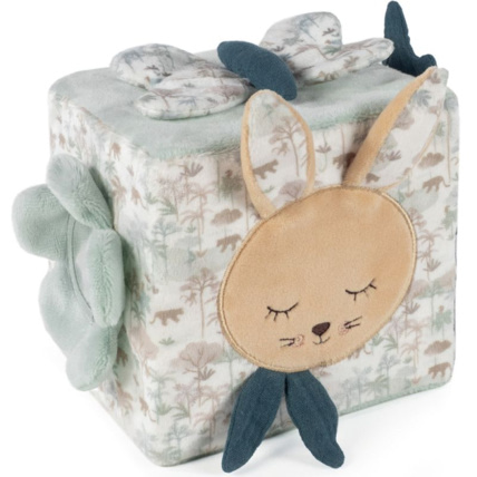 Avis Cube d'activités PASITO A PASITO 1