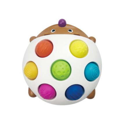 Avis Eddy le hérisson éclatant BO JUNGLE 1