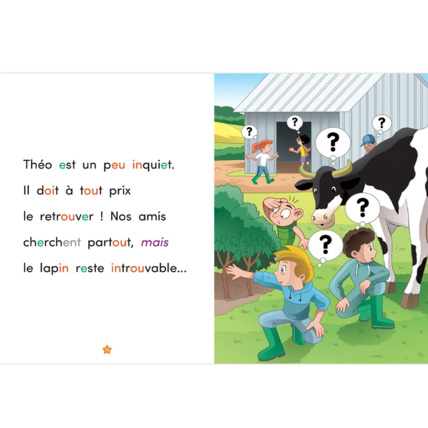 Avis Livre Qui a vu le lapin ? - Apprendre à lire avec Les Alphas ÉDITIONS RÉCRÉALIRE 3