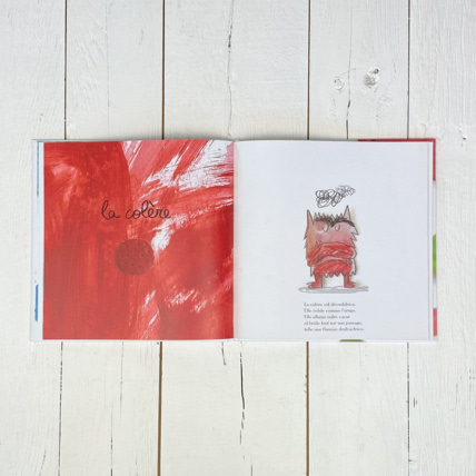 Avis Livre La couleur des émotions Petit Picotin 5