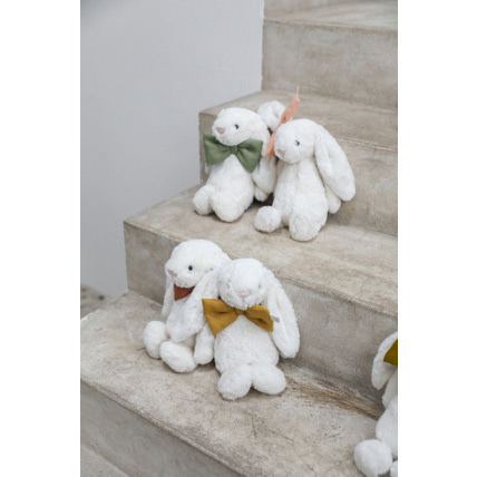 Avis Paulin le Lapin Petit Picotin 3