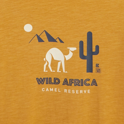 Avis T-shirt coton flammé Afrique jaune garçon OKAIDI 3