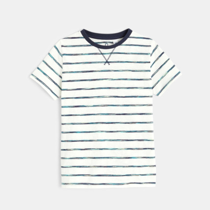 Avis T-shirt rayé col rond garçon OKAIDI 1