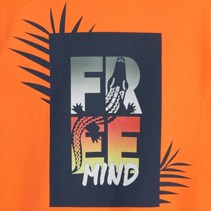 Avis T-shirt à message nature orange garçon OKAIDI 3
