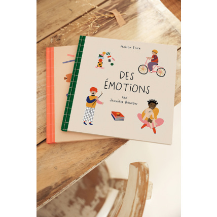 Avis Livre des Émotions Petit Picotin 2
