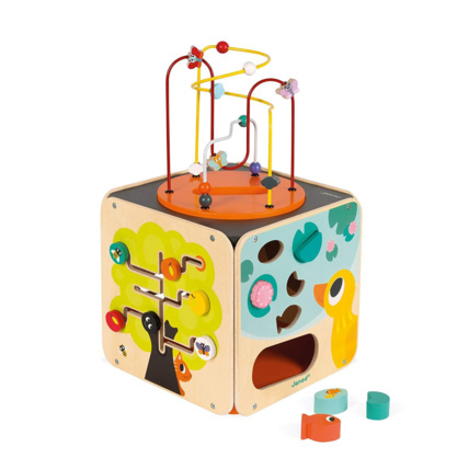 Avis Maxi cube Looping multi-activités JANOD 1