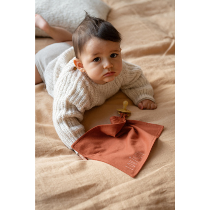 Avis Josépha le doudou plat Petit Picotin 2