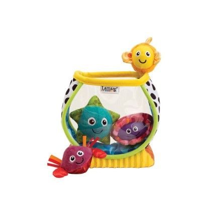 Avis Aquarium LAMAZE 1